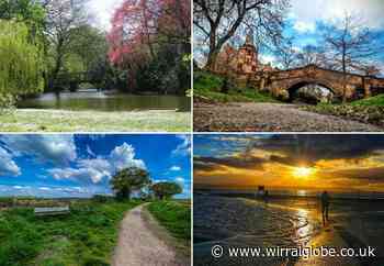 Wonderful Wirral walks to enjoy during May's National Walking Month