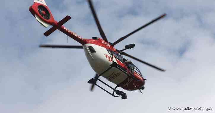 Arbeiter von Baumstamm erfasst und schwer verletzt