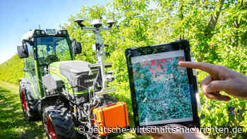 Künstliche Intelligenz auf Obstplantagen: Schädlinge besser erkennen