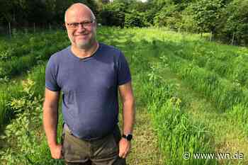 „Wir haben viele Bäume verloren“: Wie es den Wäldern jetzt geht