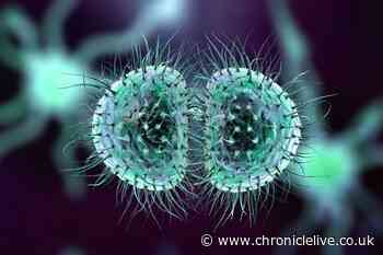 Foreign Office health alert to Brits returning from abroad over serious illness