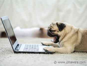 Designing Customer Surveys Without Causing Customer Fatigue