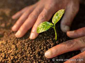 Nurturing as a Marketing Imperative