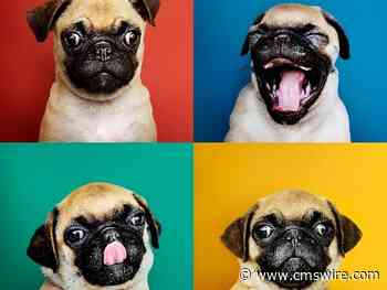 CX Leadership: Essential Personas of a Chief Customer Officer