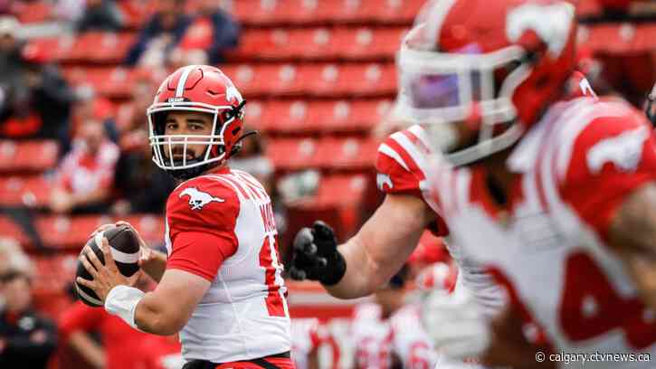 Stampeders pounce on Lions for 30-6 pre-season win