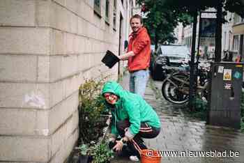 De Seefhoek heeft zijn eigen, groene Meir. “Eindelijk nog eens positief nieuws over onze wijk”
