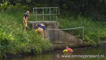 112-nieuws: ree gered in Beek en Donk • identiteit van doden op N2 bekend
