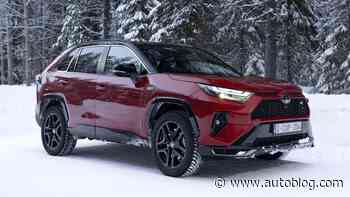 Gazoo Racing boss says maybe it needs to do some sporty SUVs