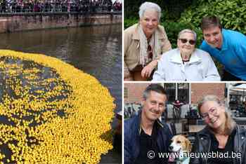 “Alle eendjes racen op de Nete”, massale opkomst voor vijfde duckrace in Lier