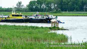Duwboot gezonken, een van de opvarenden moet zich laten behandelen