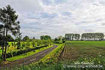 Beeld van de week: Middelburg