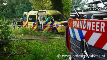 112-nieuws: dronken man uit water gehaald • boom door bliksem getroffen