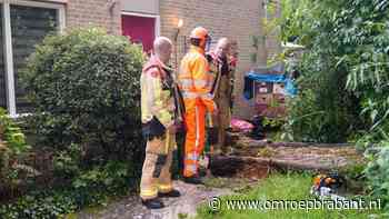 112-nieuws: bomen moeten het ontgelden • dronken man uit water gehaald