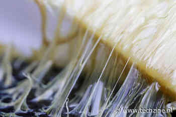 Google’s AI-zoekfunctie adviseert lijm op pizza