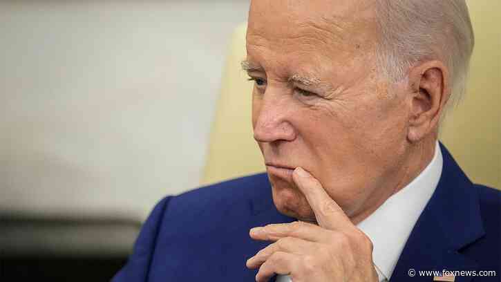 NATO boss takes apparent swipe at Biden, argues to end restrictions on US weapons for Russian targets