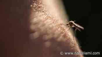 What to look for in mosquito repellents