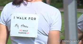 Saskatoon’s MS Walk sees restored participation