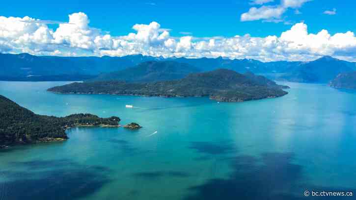 2 died in plane crash near Squamish, B.C., police confirm