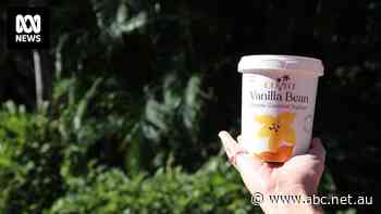 Lawsuit claims yoghurt company was told its product wasn't suitable for 'dairy free' claim before anaphylaxis death of woman