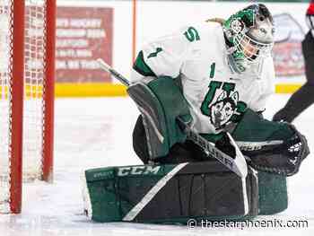 Sports briefs: Huskies hockey stars Drever, Pozzi to reunite in Sweden