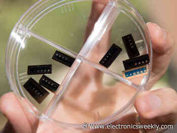 Weebit Nano and Efabless hook up for prototyping