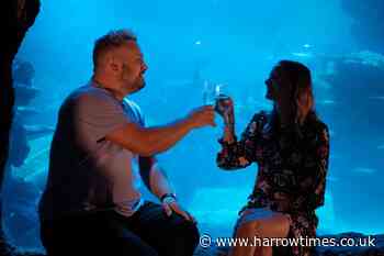 Review: Sea Life Aquarium Lates is after work fun for adults