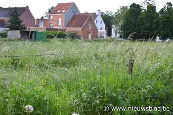 Vergunning supermarkt Okay in Oelegem goedgekeurd