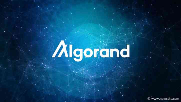 Chart Whisperer Spots Algorand Breakout: Get Ready For A 50% Rally