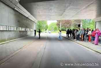 46 meter lang lichtkunstwerk verbindt Stalenstraat met Stiemerbeekvallei
