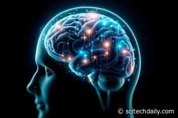 Dartmouth Researchers Have Mapped How the Brain Regulates Emotions