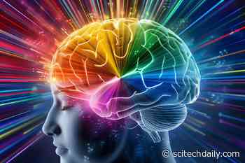 Scientists Discover New Brain Network Key to Understanding Social Interactions