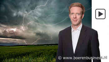 Spelers op de tarwemarkt voelen nattigheid