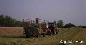 Ontario privacy commissioner probing deleted Greenbelt emails