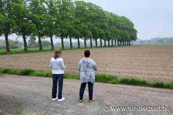 Provincie keurt in beroep gewijzigde plannen ‘knooperf’ goed