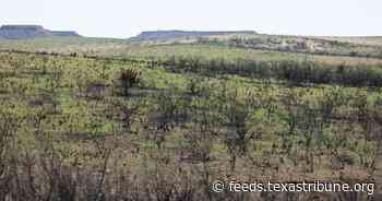 Three months after the Texas’ largest wildfire, Panhandle residents are preparing for the next one