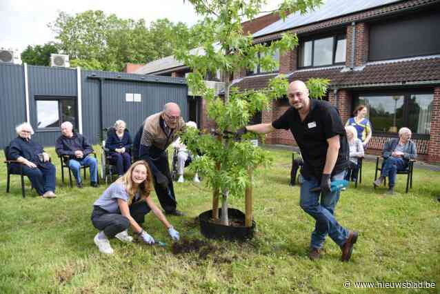 Vergeet-mij-nietjes zorgen samen met amberbomen voor bespreekbaarheid dementie