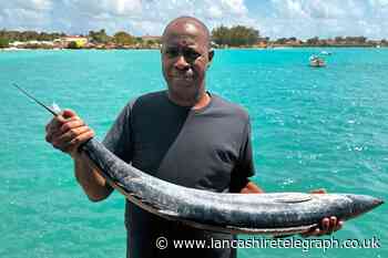 Clive Myrie’s Caribbean Adventure on BBC Two - how to watch