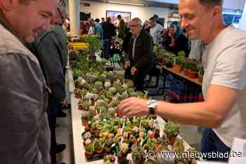 Cactusliefhebbers laten zich niet afschrikken door regenweer