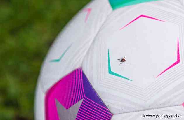Fußballfans, aufgepasst! / Die Aktion "Deutschland macht den Zecken-Check" zeigt: FSME-Vorsorge auch im EM-Sommer wichtig