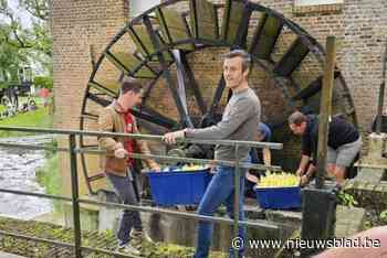 RIA maakt lijsttrekker bekend met eendjesrace op Witte Nete