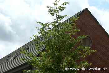 Woonhaven zorgt voor zonnepanelen in wijk Luchtbal