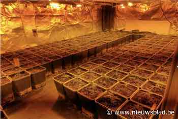 Twee cannabisplantages blootgelegd in drugsonderzoek: 11 verdachten opgepakt