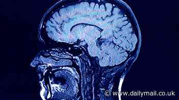 I'm an evolutionary expert - these are the fascinating ways humans are STILL evolving - and how it could lead to generation of attractive people (or psychos!)