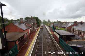 Metro station platform closed for 'public safety' due to loose stones on building