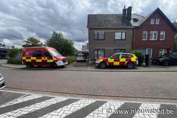 Ree raakt opgesloten op terrein: brandweer komt ter plaatse