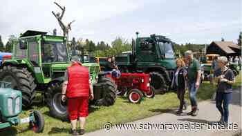 Unimog-Treffen in Schmieh: Oldtimer erzählen viele Geschichten