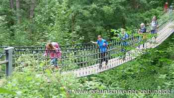 Oberharzer Nordic Aktiv Cup 2024: Das Walking-Event im Harz