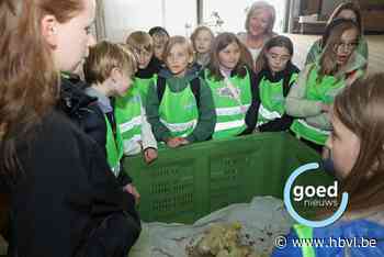 Jongeren zien waar hun voedsel vandaan komt op BinnenBijBoerenDag
