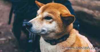 Floki Developers Look to Improve Token Fundamentals With New Trading Bot