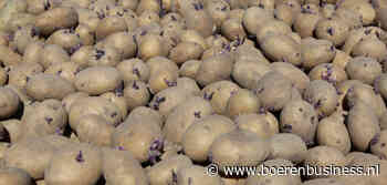 Schijn bedriegt in de exportcijfers van pootgoed